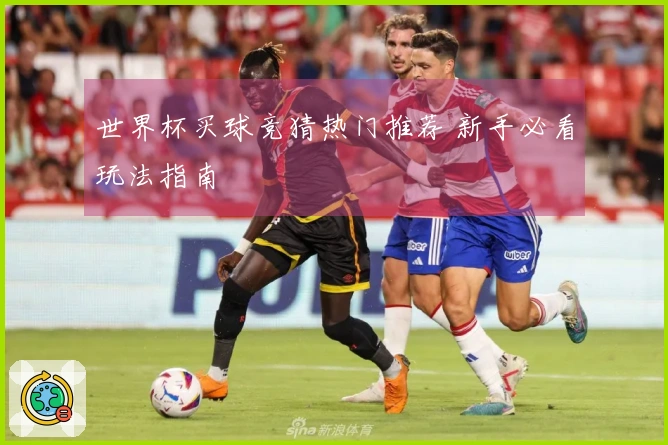 世界杯买球竞猜热门推荐 新手必看玩法指南