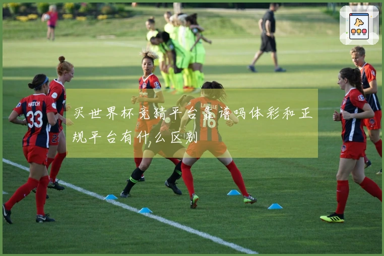 买世界杯竞猜平台靠谱吗体彩和正规平台有什么区别
