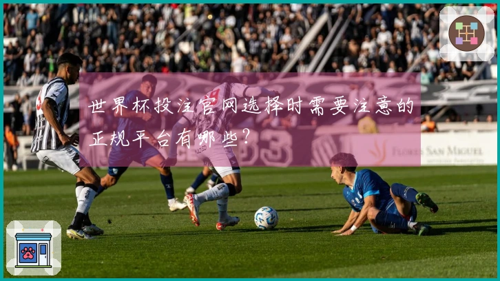 世界杯投注官网选择时需要注意的正规平台有哪些？