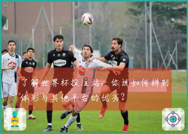 了解世界杯投注站，你该如何辨别体彩与其他平台的优劣？